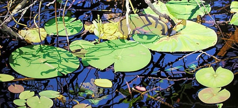 Lily Pond, Evening Shadows Image 1