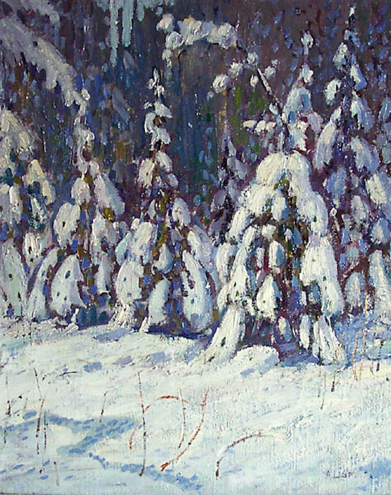 Forest in Winter Image 1