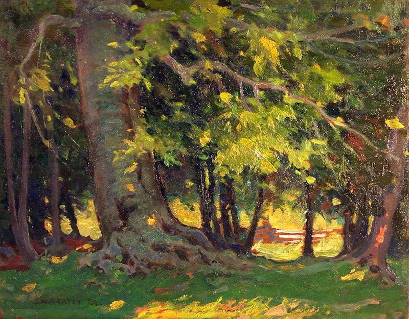 Forest Scene Image 1