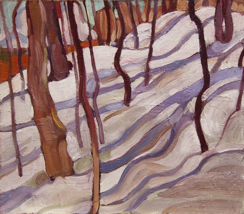 Trees and Snow Shadows