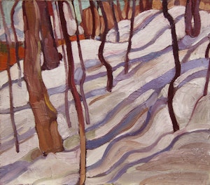 Trees and Snow Shadows