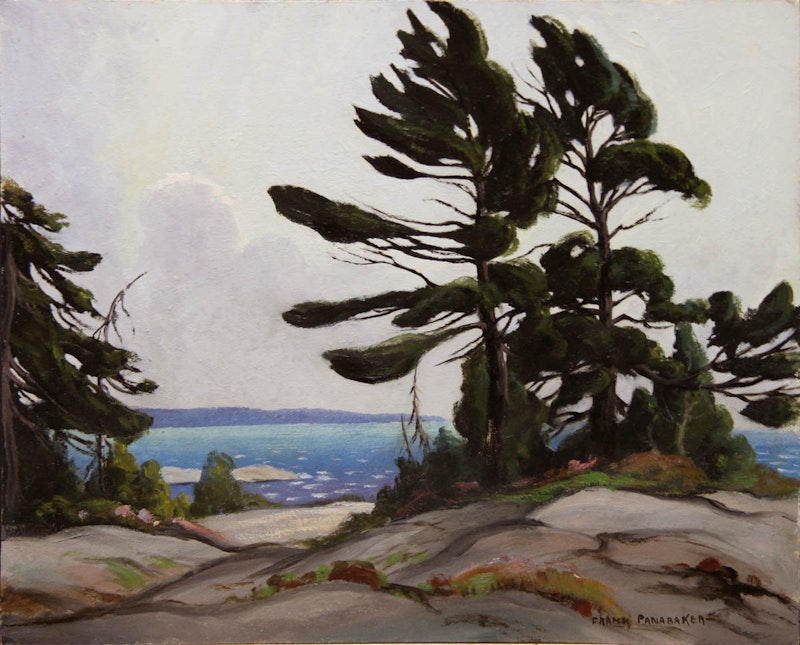 Wind Blown Pine, Georgian Bay Image 1
