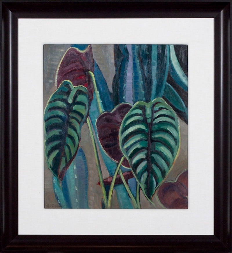 Philodendron Image 1