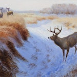 White Tailed Deer in the Snowy Marsh by Clarence Tillenius, 1995 Oil on Canvas - (24x30 in)