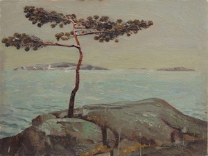 A.Y.’s Tree, Georgian Bay