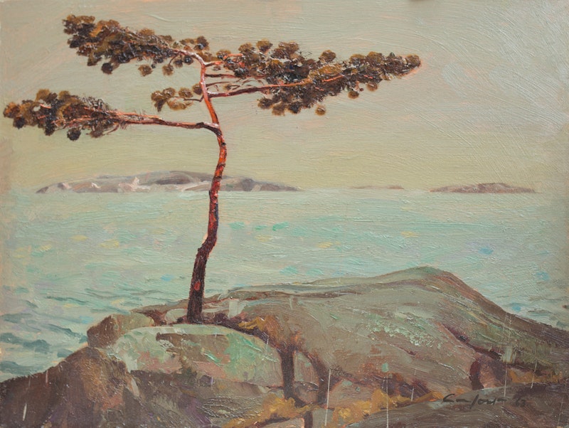 A.Y.’s Tree, Georgian Bay Image 3