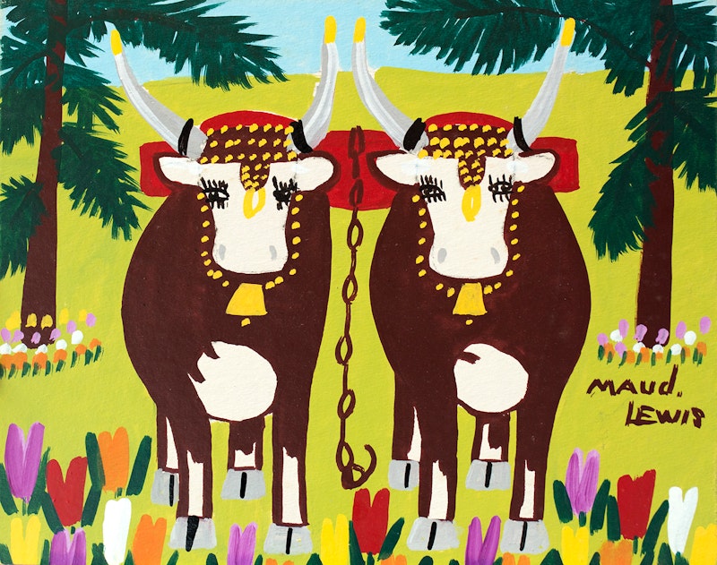 Summer Oxen With Tulips