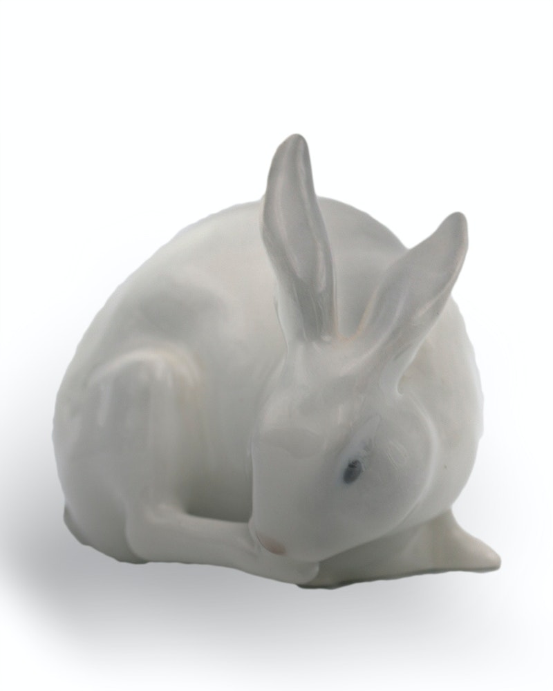 Rabbit Image 3