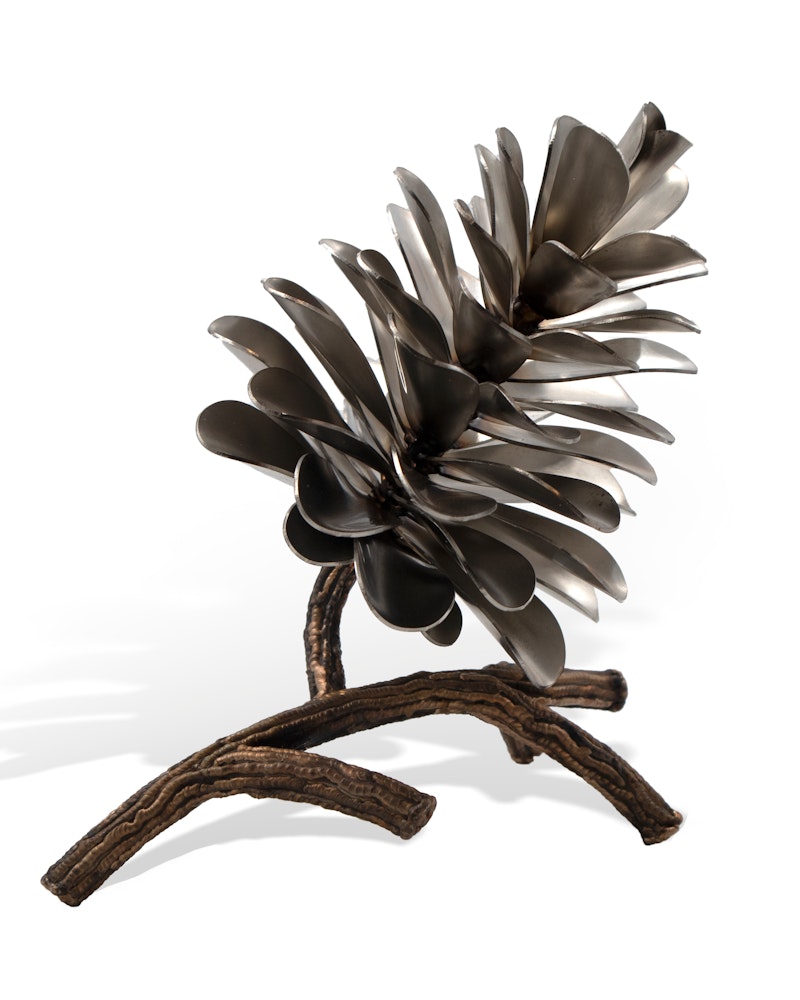 Pine Cone on Branch #20-578
