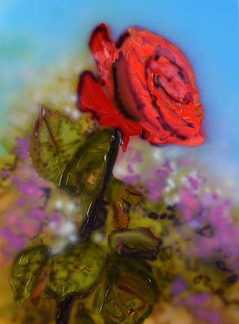 Single Rose Image 1