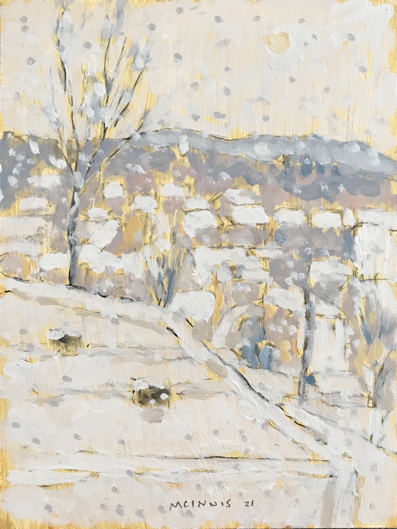 Village in Snow