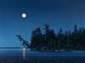 Moonlight Over Lake of the Woods