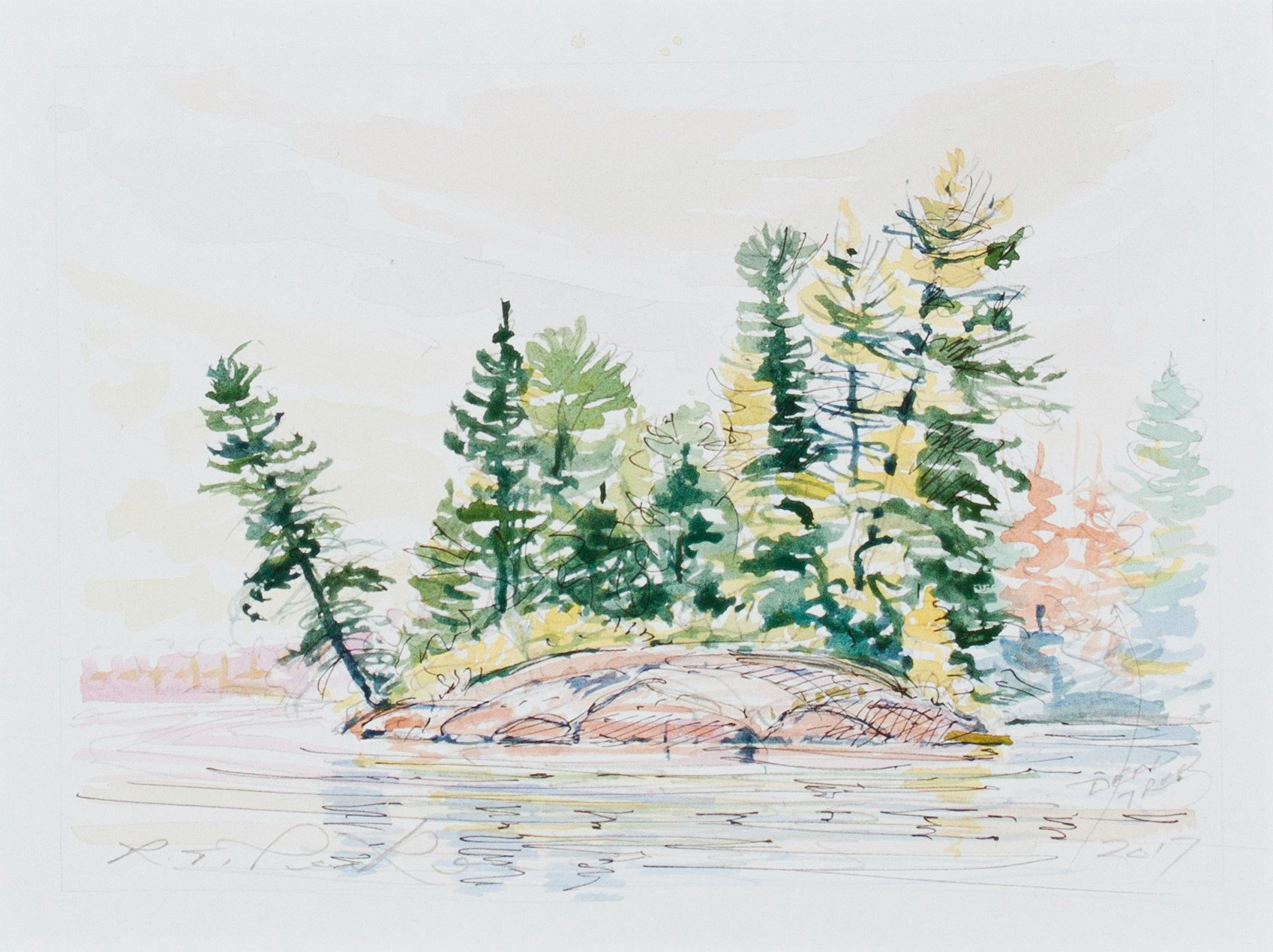 Leaning White Pine Study-North of French Portage