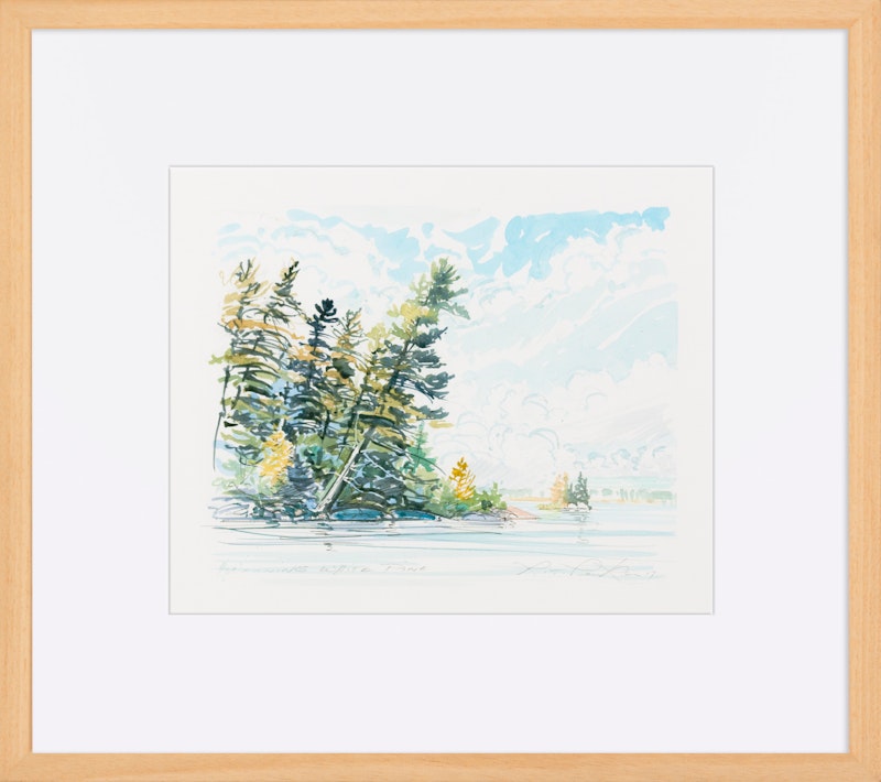 Leaning White Pine Near French Portage Thumbnail 2