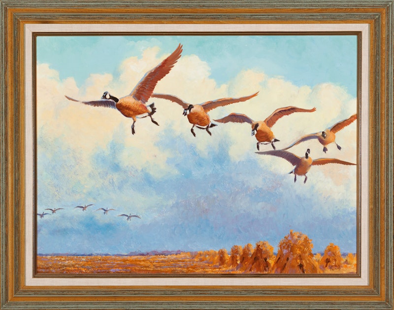 Untitled Geese in flight