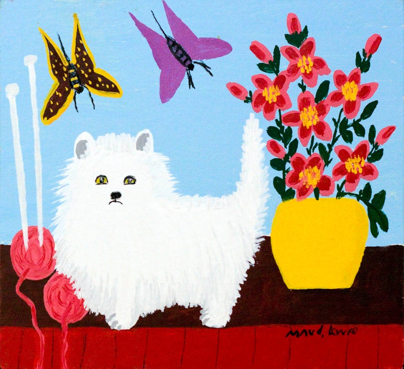 White Cat with Flowers