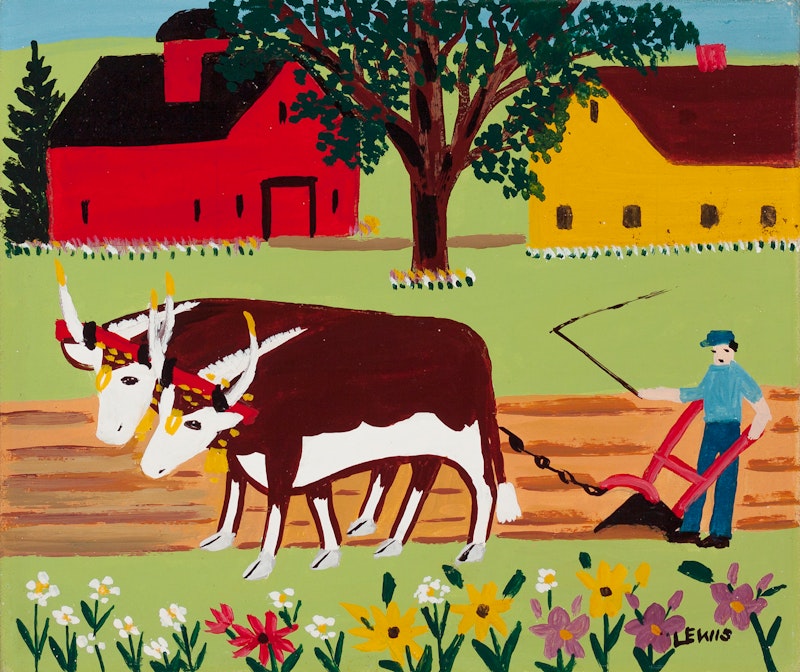 Two Oxen Ploughing Image 2