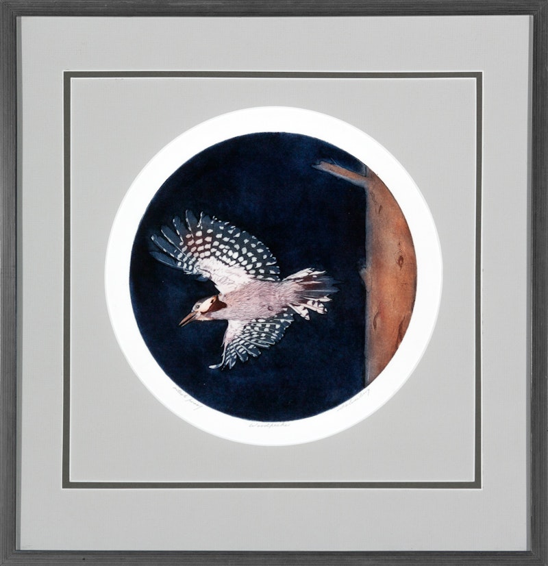 Woodpecker A/P Image 1
