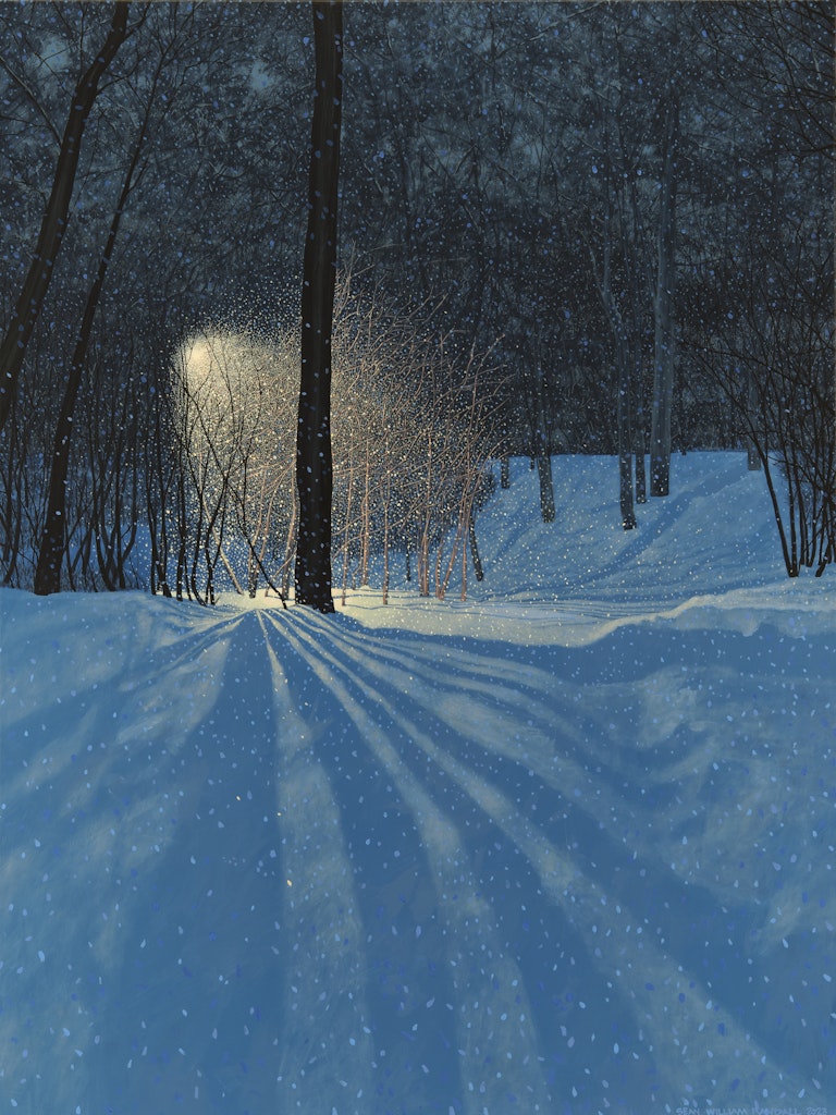 Light Flight by Sean William Randall, 2023 Acrylic On Canvas - (48x36 in)